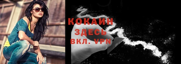 шишки Михайловск
