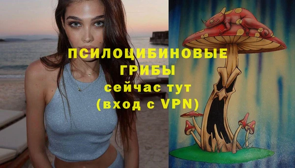 альфа пвп Карпинск
